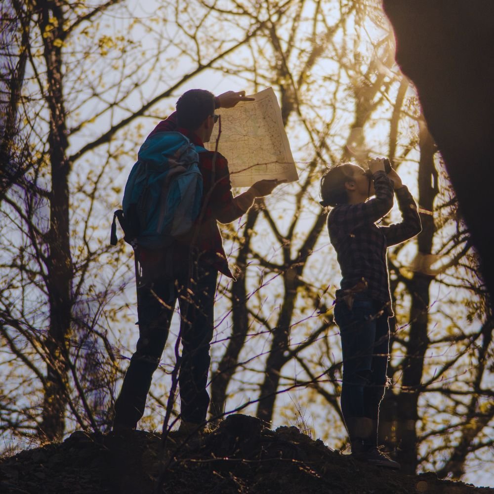 The Elevation - Who its for #3