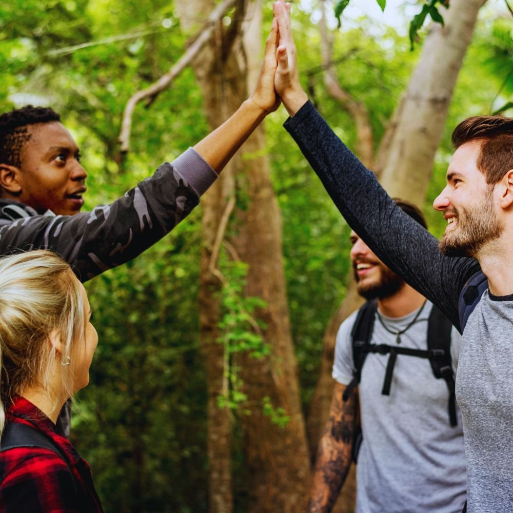 The Elevation - Who its for #5